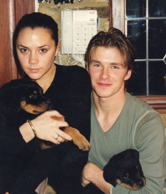 “David and Victoria Beckham Celebrate 25th Anniversary in The Same Purple Outfits”: What Do They Look Like?