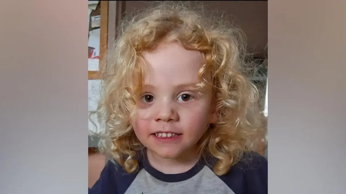 EXCLUSIVE: Gus Lamont’s father broke down in tears on live television after “a small part” of Gus was found. The nightmare everyone feared appears to be coming true as little Gus, missing for over a year, has yielded only a tiny trace! What investigators discovered at the scene deep in the forest ca - Trends