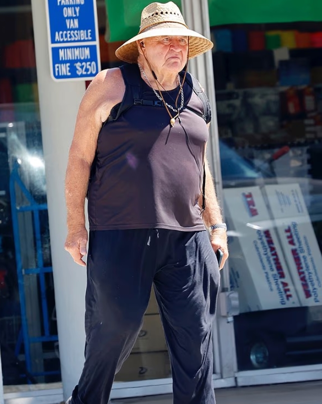 Familiar Hollywood Character Actor Captured in a Rare Candid Paparazzi Moment Away From the Movie Set: Do You Recognize Him?