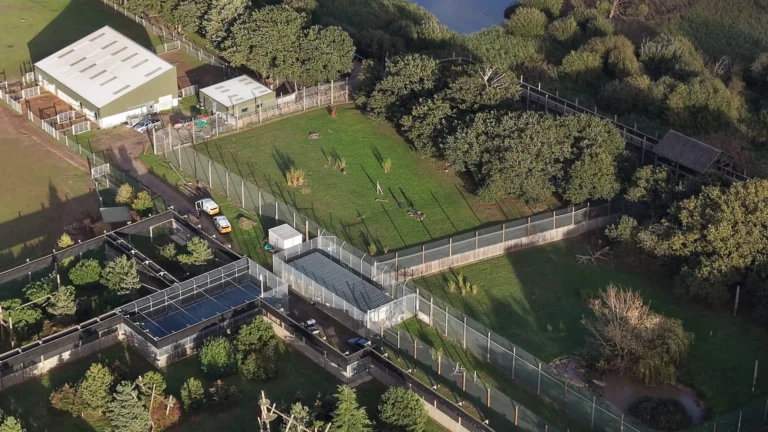 NHS trust issue apology after staff ‘accessed record’ of Yorkshire tiger attack victim ‘without legitimate reason’