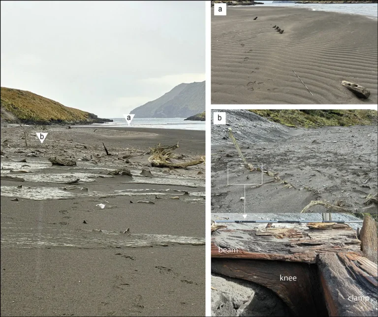 The Nineteenth-Century “Castaway Camp” Of Shipwrecked Penguin Hunters May Have Been Found On Island Off Patagonia