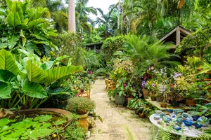 This 8.2-square-mile Caribbean Island Is a Quiet Alternative to Turks and Caicos Hot Spots