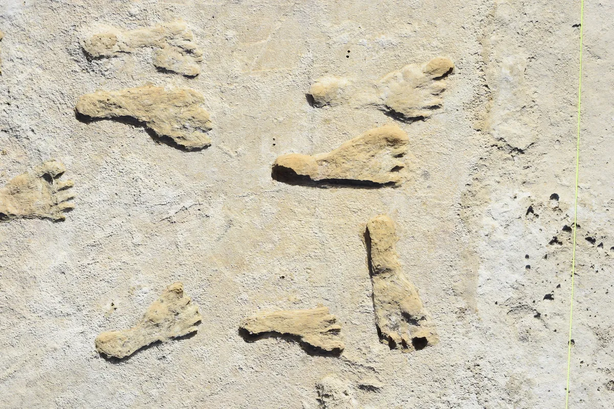 White Sands Footprints Show Ice Age Humans Faced Abrupt Environmental Shifts During Early Settlement Of The Americas